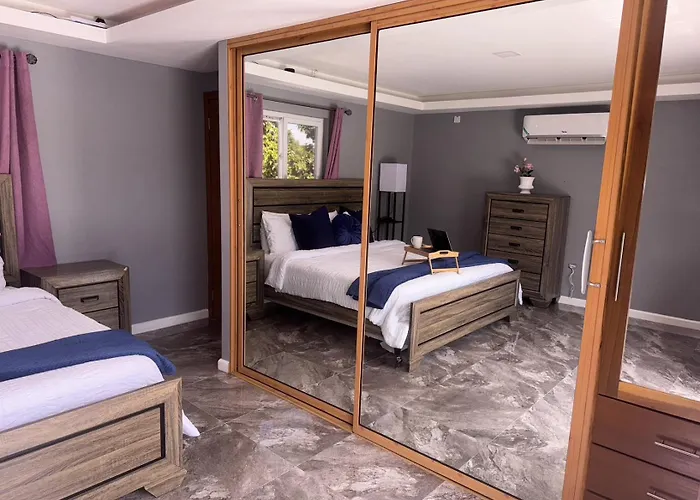 Elegant 3Br Kingston Loft With Private Rooftop